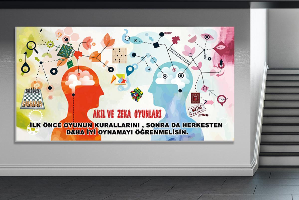 Akıl zeka Oyunları 1