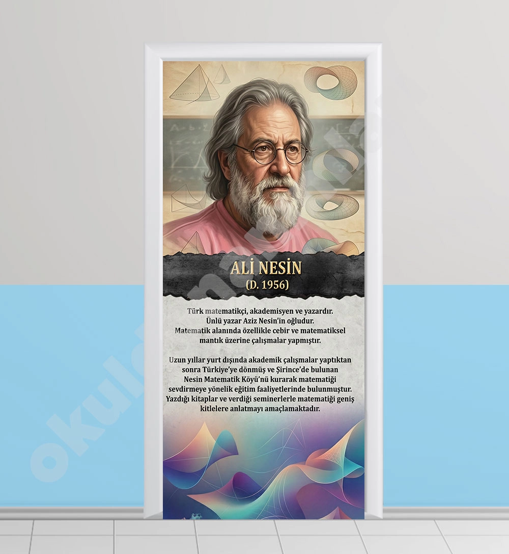 Ali Nesin Kapı Giydirme