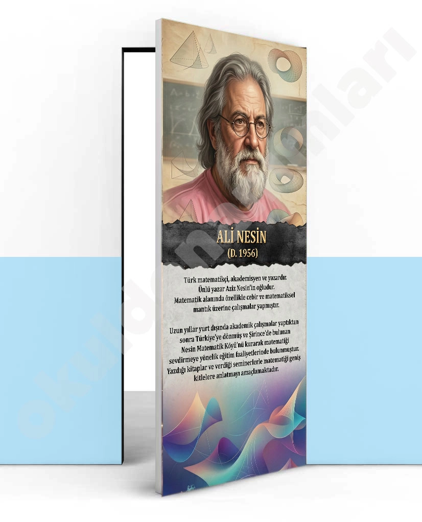 Ali Nesin Kapı Giydirme