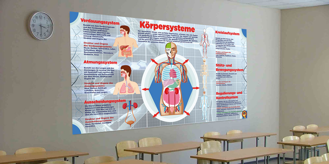 Körpersysteme