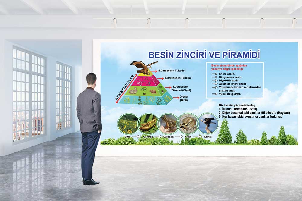 Besin zinciri posteri