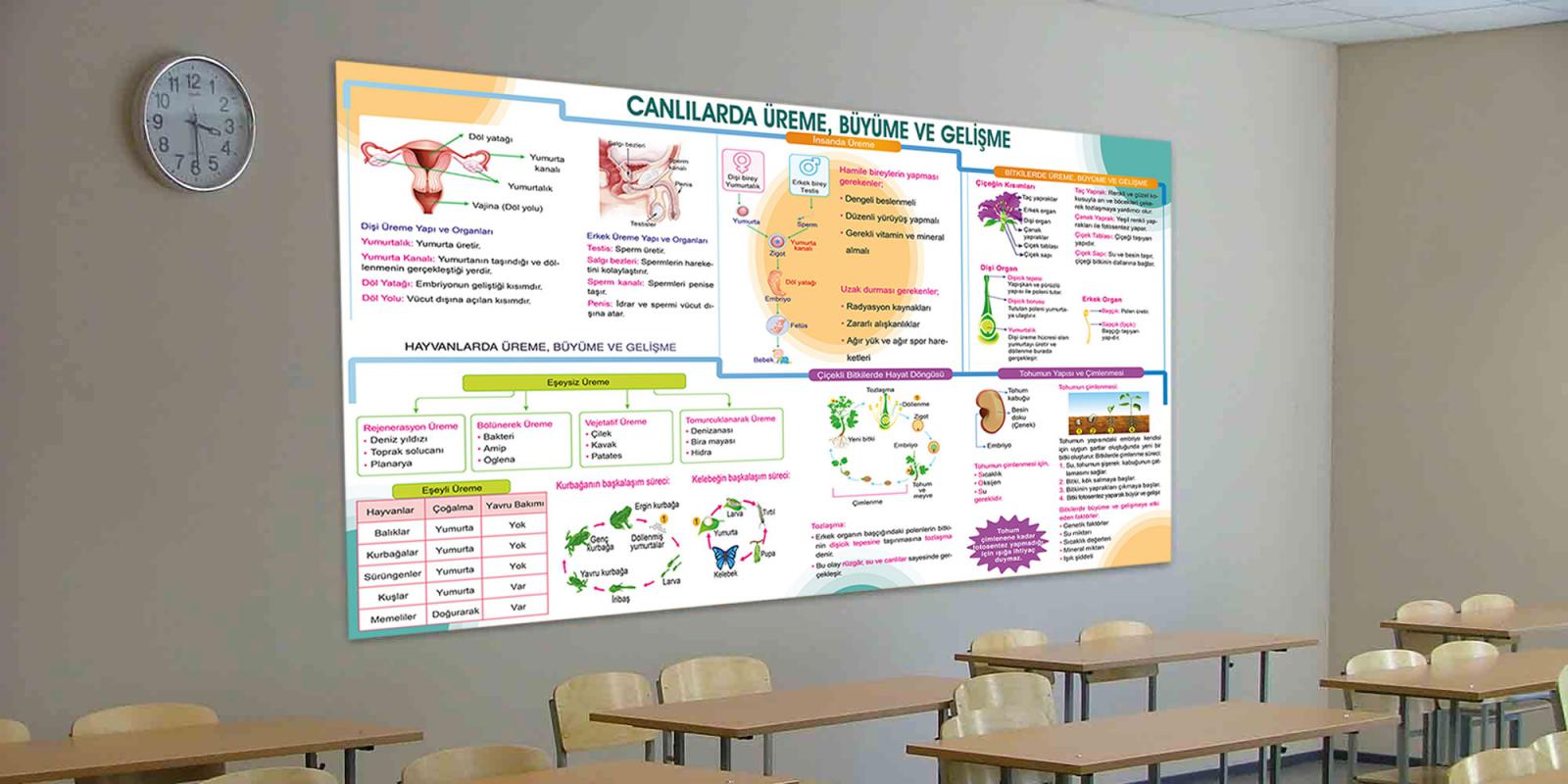 Canlılarda üreme