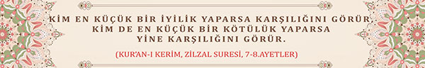 Zilzal Suresi 7-8 