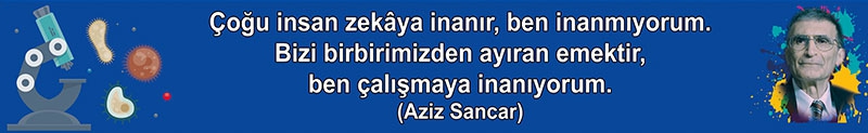 Aziz Sancar