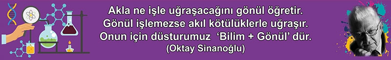 Oktay Sinanoğlu
