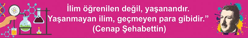 Cenab Şehabettin