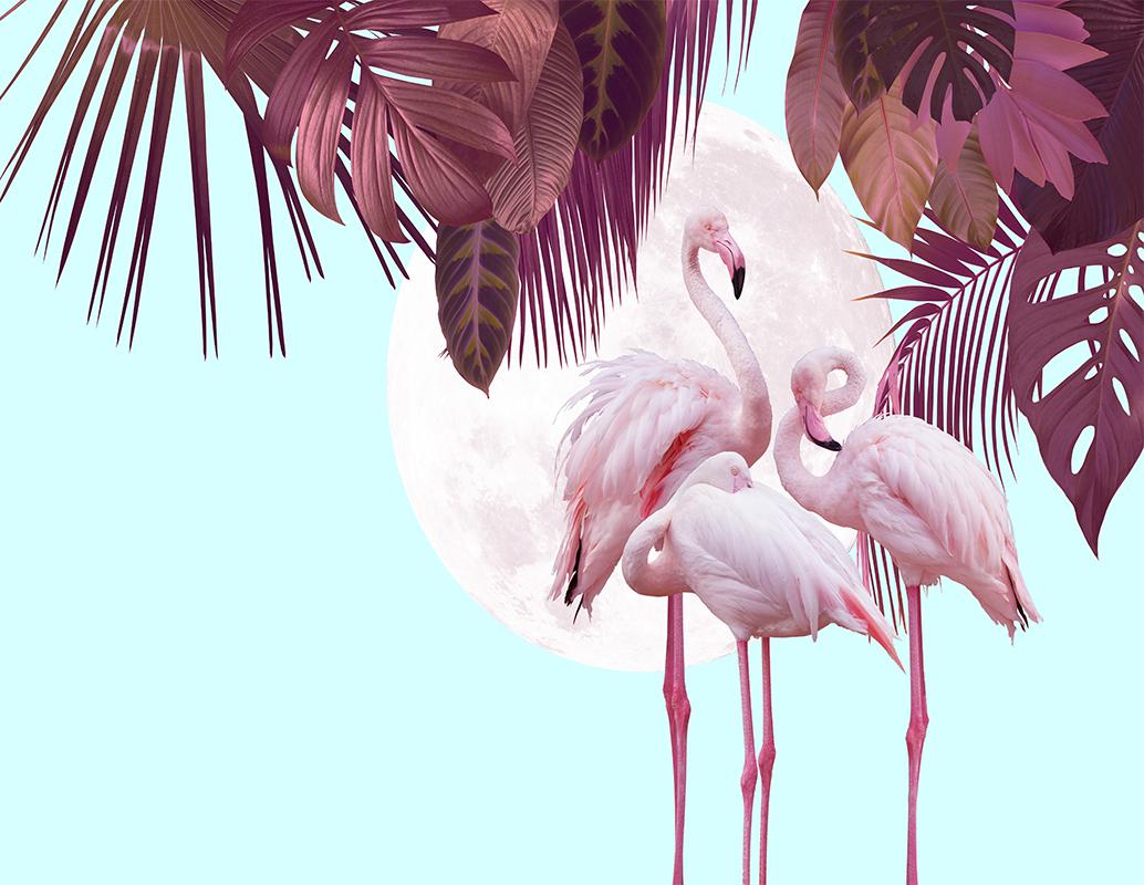 Flamingo yapraklı duvar kağıdı