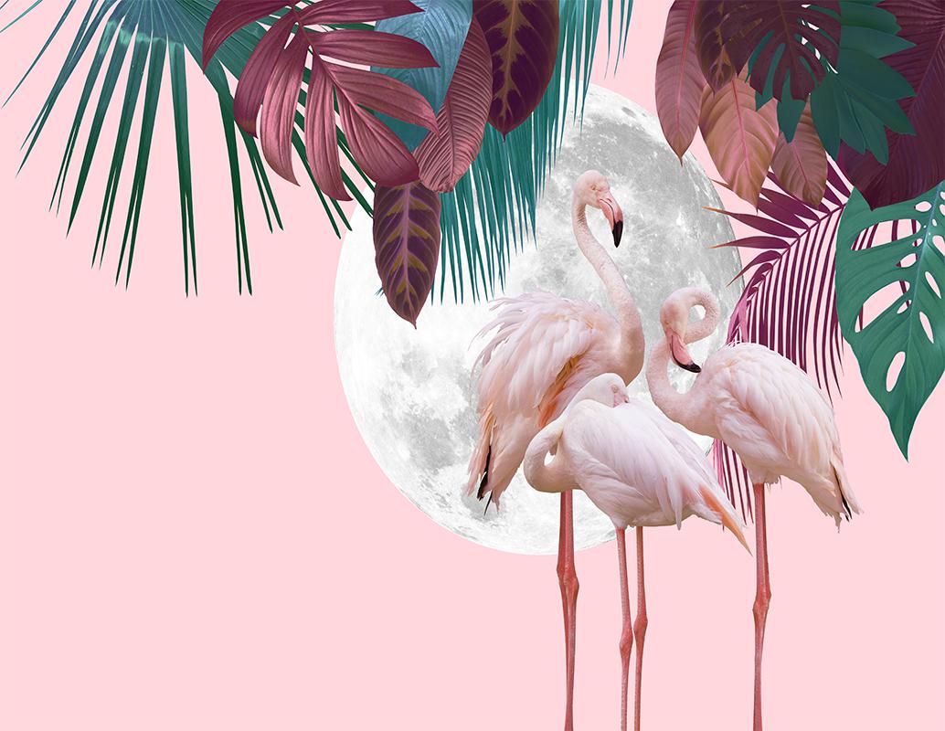 Flamingo yapraklı duvar kağıdı