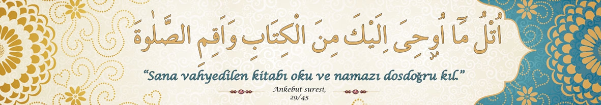 Ankebut Suresi