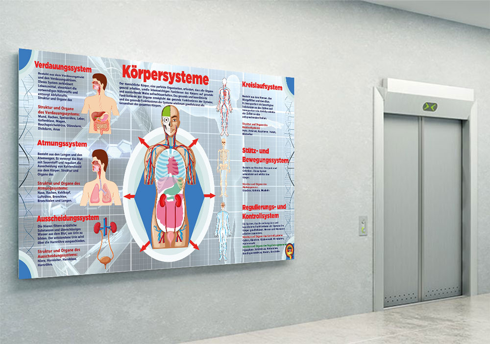 Körpersysteme