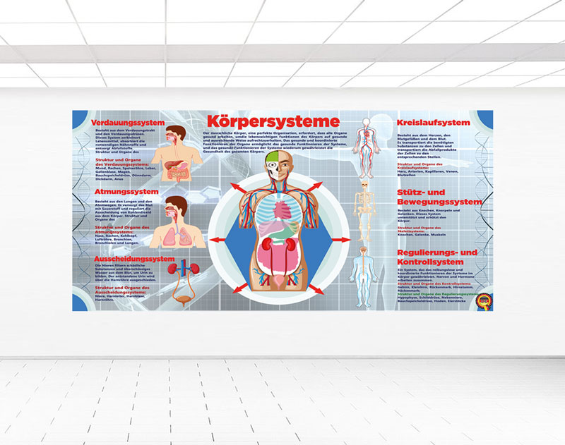 Körpersysteme