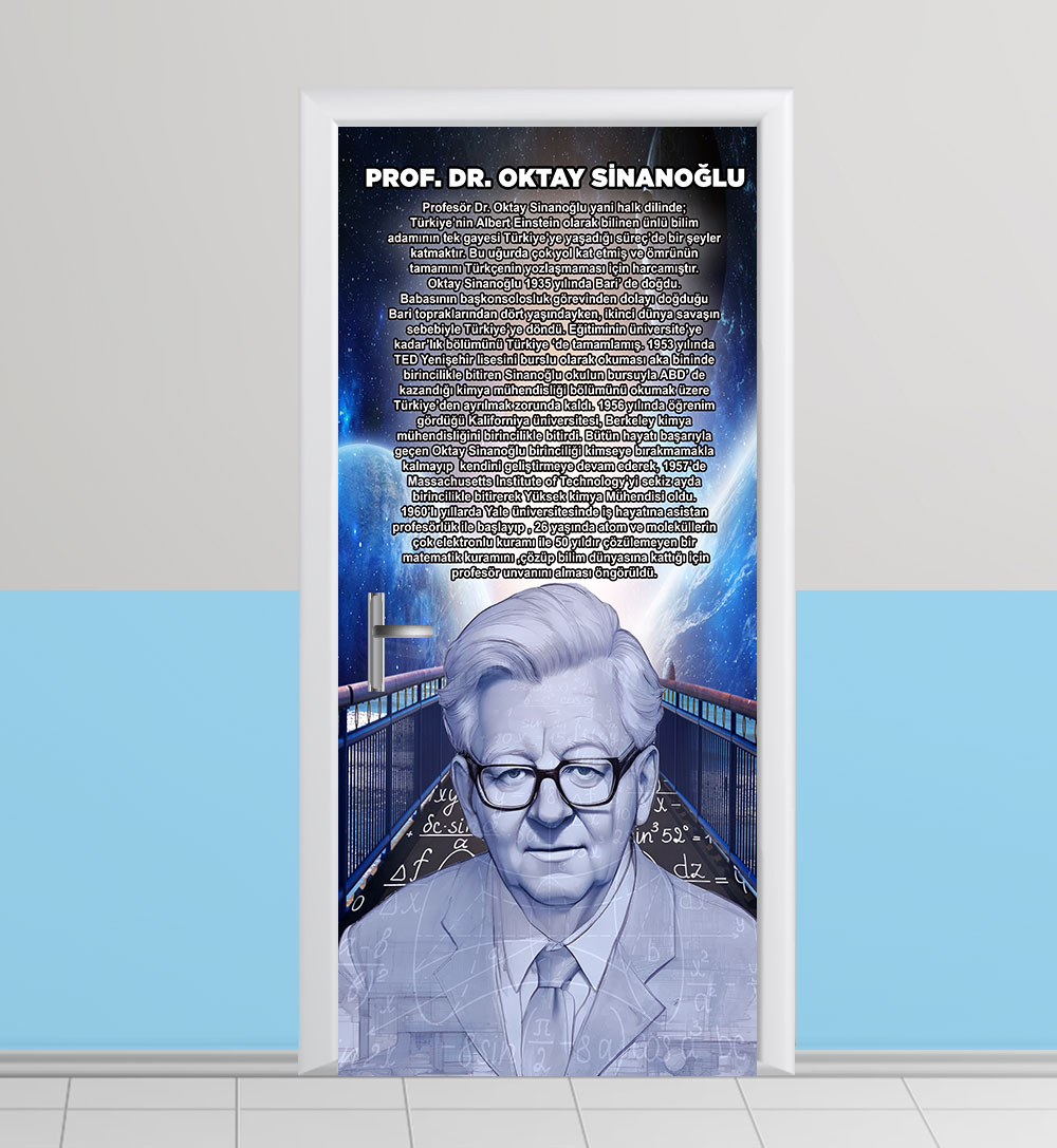 Oktay Sinanoğlu kapı posteri