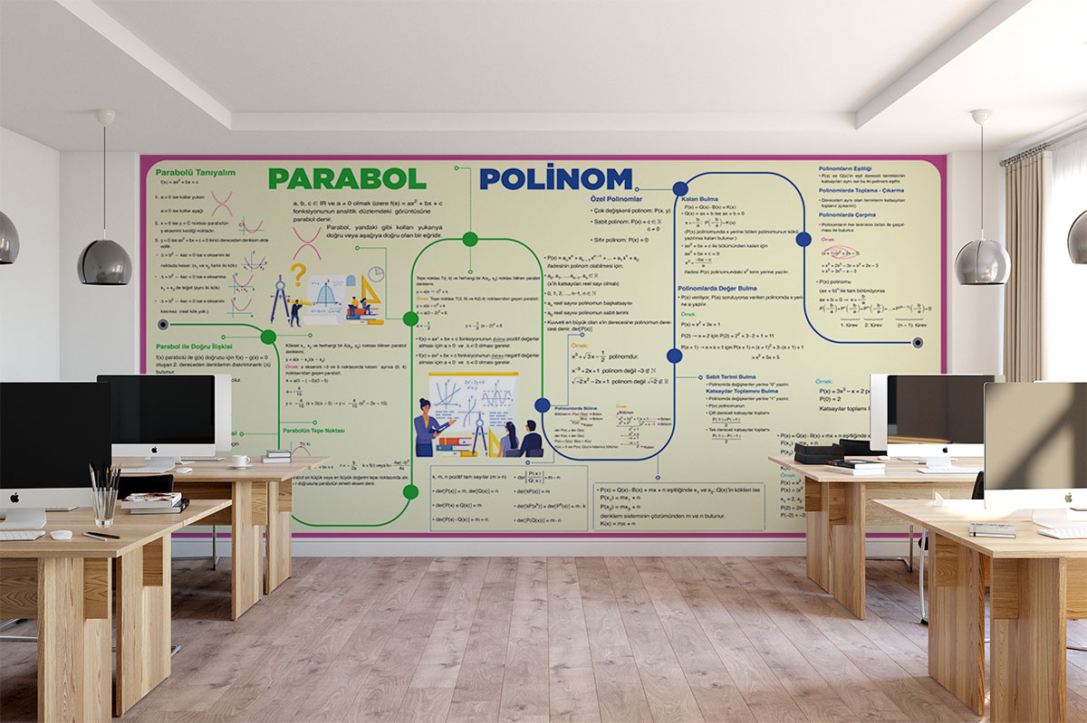 Parabol ve Polinom Posteri