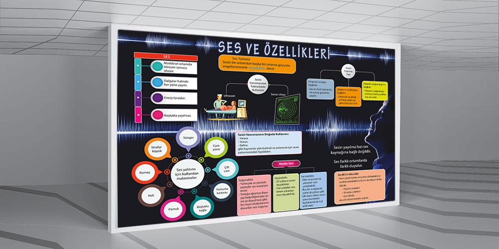 Ses ve özellikleri