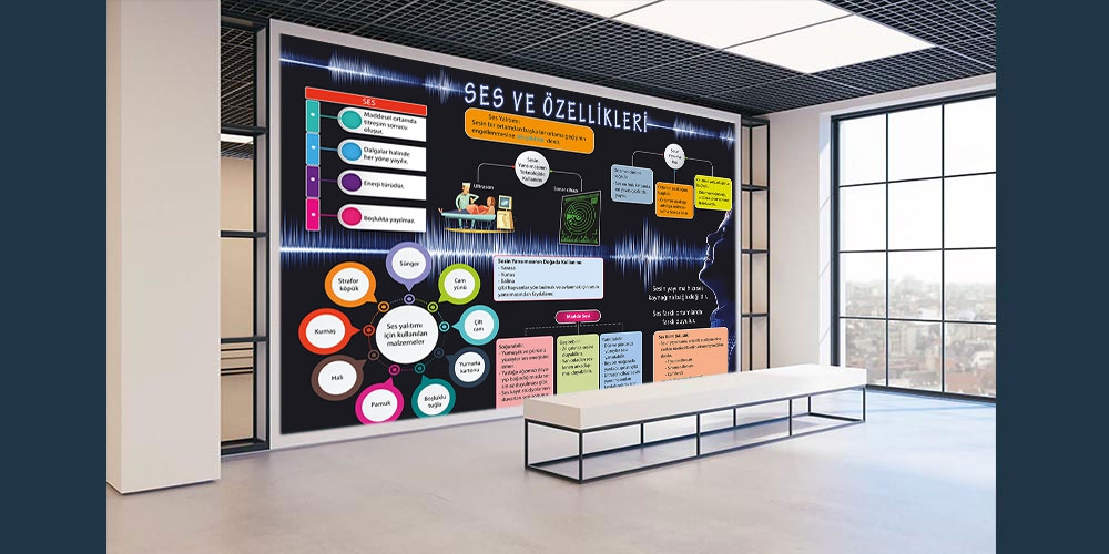 Ses ve özellikleri