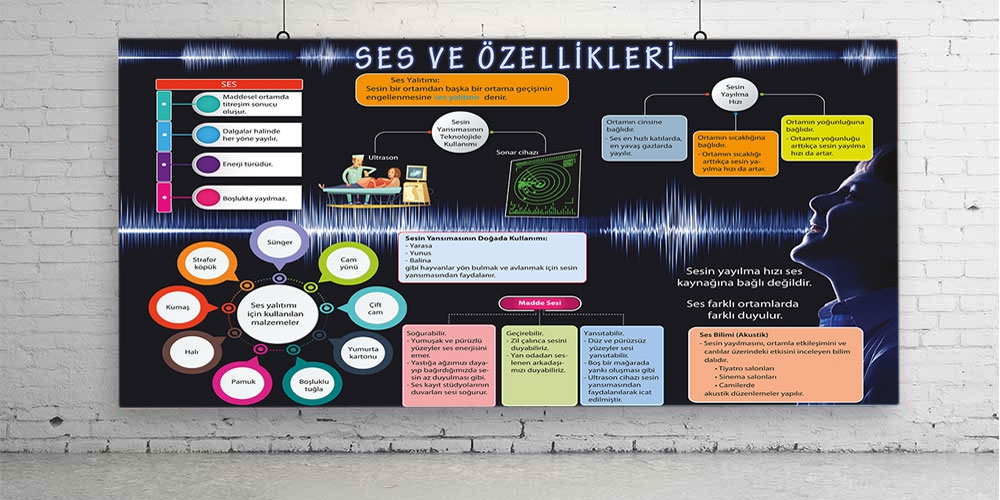 Ses ve özellikleri