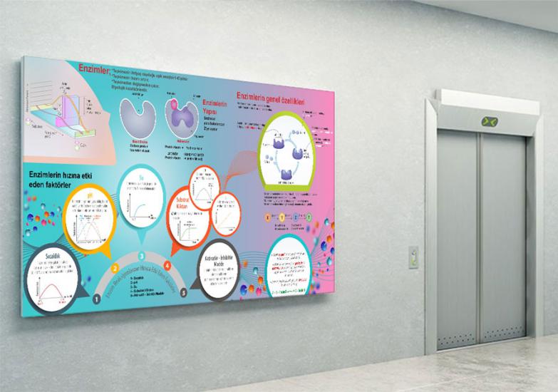 Enzimler posterini en uygun fiyat ve hızlı kargo avantajıyla sahip olabilirsiniz. Biyoloji sokağı posterlerini fiyat ve yorumları inceleyin