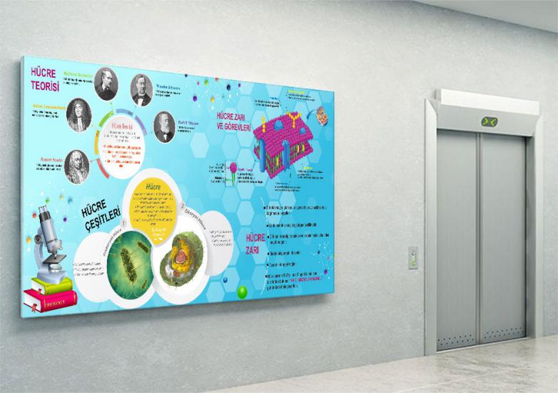 Biyoloji posterini en uygun fiyat ve hızlı kargo avantajıyla sahip olabilirsiniz. Biyoloji sokağı posterlerini fiyat ve yorumları inceleyin