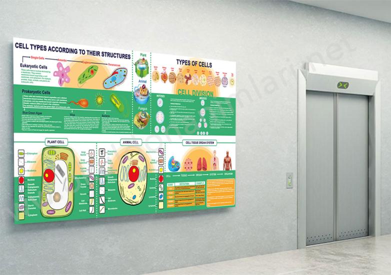 Cell poster, fen sokağı posteri