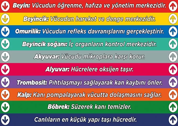 Okul merdiven yazısı