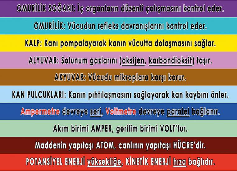 Fen bilgisi merdiven yazilari uygun fiyat hizli kargo secenegi ile sahip olabilirsiniz