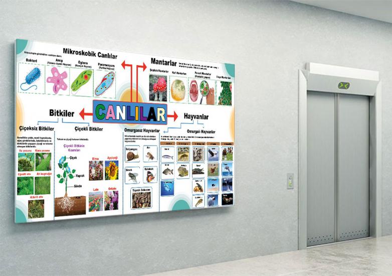 Fen sokağı, fen sokağı posterleri, fen koridoru, fen bilgisi kapı giydirme, laboratuvar kapı giydirme, fen bilgisi kiriş yazıları, fen bilimleri, fen bilgisi posteri, fen bilgisi afişleri, fen sokağı