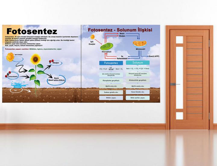 Fen sokağı, fen sokağı posterleri, fen koridoru, fen bilgisi kapı giydirme, laboratuvar kapı giydirme, fen bilgisi kiriş yazıları, fen bilimleri, fen bilgisi posteri, fen bilgisi afişleri, fen sokağı