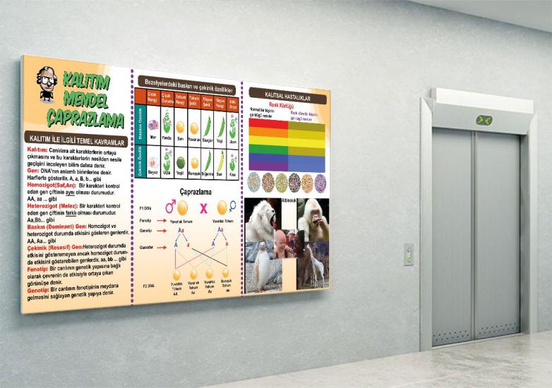 Fen sokağı, fen sokağı posterleri, fen koridoru, fen bilgisi kapı giydirme, laboratuvar kapı giydirme, fen bilgisi kiriş yazıları, fen bilimleri, fen bilgisi posteri, fen bilgisi afişleri, fen sokağı