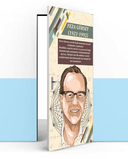 Feza Gürsey posteri