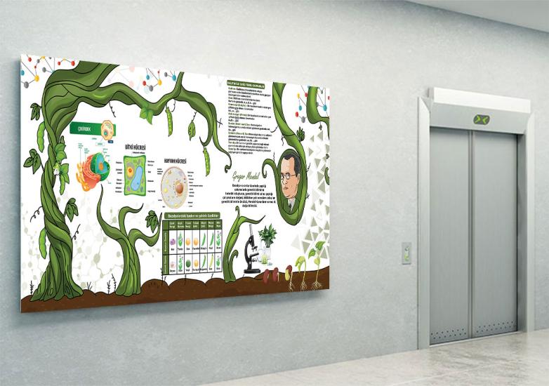 Kalıtım mendel afişi