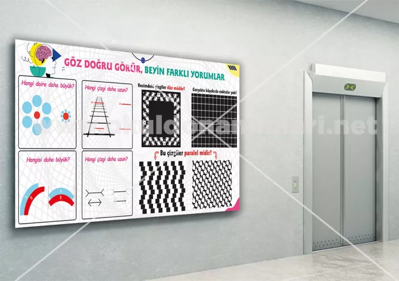 Optik İllüzyonlu Eğitici Duvar Posteri