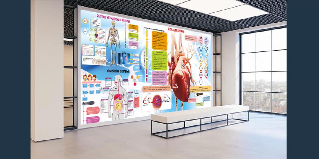 Fen sokağı posteri